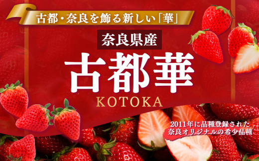 奈良県五條市のふるさと納税 奈良県産ブランド「古都華（ことか）」２パック（約５４０ｇ）| フルーツ くだもの 果物 いちご イチゴ ことか コトカ 古都華 奈良県 五條市