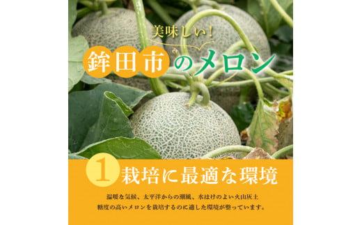 茨城県鉾田市のふるさと納税 イバラキングメロン（1.2kg以上×2個）