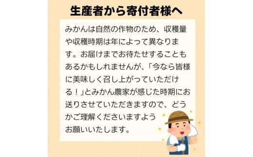 愛媛県愛南町のふるさと納税 訳あり 愛媛みかん 2kg 人気 みかん 冬 秋 旬 糖度 糖度計 厳選 光センサー選果 柑橘 かんきつ 果物 くだもの 国産  少量 お試し フルーツ スイーツ デザート ご褒美 みかん 蜜柑 大小 サイズ ミックス 不揃い 傷 温州 温州みかん ビタミン 美味しい 農家直送 地場産品 こだわり みかん職人武田屋 愛媛県 愛南町 発送期間：9月中旬～1月中旬