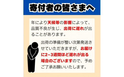 愛媛県愛南町のふるさと納税 訳あり 愛媛みかん 2kg 人気 みかん 冬 秋 旬 糖度 糖度計 厳選 光センサー選果 柑橘 かんきつ 果物 くだもの 国産  少量 お試し フルーツ スイーツ デザート ご褒美 みかん 蜜柑 大小 サイズ ミックス 不揃い 傷 温州 温州みかん ビタミン 美味しい 農家直送 地場産品 こだわり みかん職人武田屋 愛媛県 愛南町 発送期間：9月中旬～1月中旬