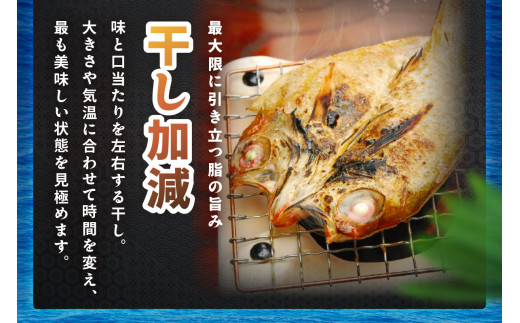 島根県浜田市のふるさと納税 香住屋の「特大のどぐろ一夜干し」2尾（約650g） 魚介類 魚貝類 魚 干物 一夜干し のどぐろ 2尾 特大サイズ 冷凍 ギフト 贈り物 アカムツ 【1302】