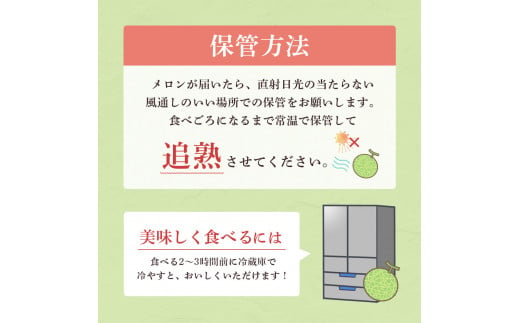 茨城県鉾田市のふるさと納税 イバラキングメロン（1.2kg以上×2個）