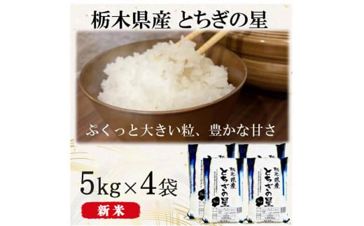 【令和6年産・新米】栃木県産とちぎの星 （精米）5kg×4袋 ｜ お米 白米 一等米 送料無料 栃木県 宇都宮市　※離島への配送不可 1490697 - 栃木県宇都宮市