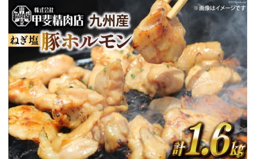 ホルモン 九州産 ねぎ塩 ホルモン 200g 8袋 計 1.6㎏ [甲斐精肉店 宮崎県 日向市 452060692] 冷凍 個包装 パック 国産 国内産 味付き ねぎ塩 肉 1494247 - 宮崎県日向市