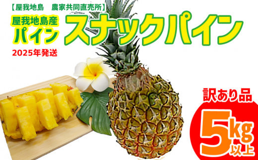 《訳あり品》2025年【屋我地島　農家共同直売所】屋我地島産スナックパイン5kg以上 パイン 先行予約 沖縄 国産 パインアップル ボゴール わけあり ぱいん 名護 訳あり ご当地 送料無料 ふるさと納税 お取り寄せ 生産者応援 5キロ 県産 くだもの デザート フルーツ 825160 - 沖縄県名護市