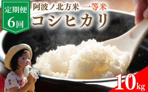 【 定期便 10kg × 6回 】 コシヒカリ 令和6年産 阿波ノ北方米 毎月 1回 1等 米 こめ ご飯 ごはん おにぎり 白米 精米 新米 卵かけご飯 食品 備蓄 備蓄米 保存 防災 ギフト 贈答 プレゼント お取り寄せ グルメ 送料無料 徳島県 阿波市 阿波ノ北方農園 1493933 - 徳島県阿波市