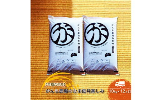 【令和六年産】定期便  がんも農場のお米毎月楽しみ（白米） 10kg×12ヵ月【出荷開始：2024年10月～】【白米 精米 こしひかり コシヒカリ 粘り気が強く甘みがあります がんも農場 お米 冷めても美味しい 長野県 佐久市 】