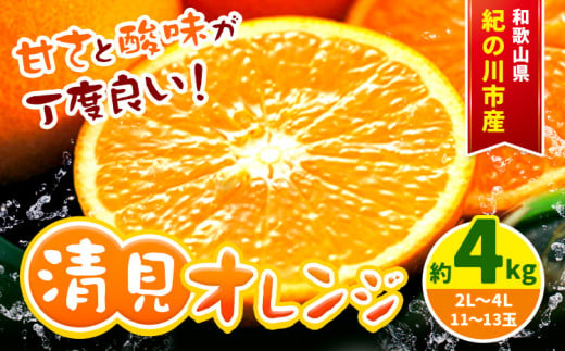 【先行予約】【濃厚 大玉】和歌山県産 清見オレンジ 約 4kg (サイズおまかせ) 紀の川市厳選館《2025年2月中旬-2025年2月末頃出荷》 和歌山県 紀の川市 果物 清見 オレンジ 果実 ジューシー 甘み 酸味