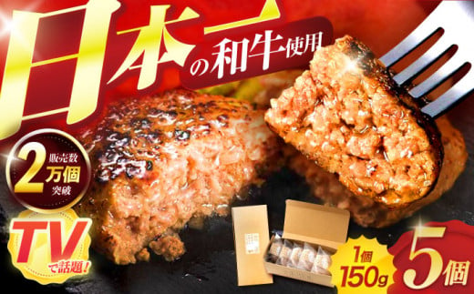 ながさきふわとろハンバーグ　150g×5個入 / ハンバーグ はんばーぐ　肉 牛肉 豚肉 おかず　惣菜 / 諫早市 / ワールド・ミート有限会社 [AHBG005] 1374477 - 長崎県諫早市