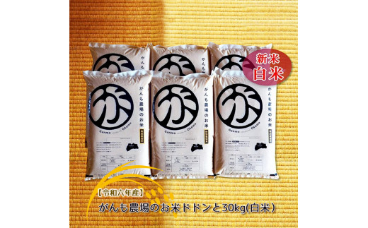 【令和六年産】がんも農場のお米ドドンと30kg(白米）【出荷開始：2024年10月～】【白米 精米 こしひかり コシヒカリ 粘り気が強く甘みがあります がんも農場 お米 冷めても美味しい 長野県 佐久市 】