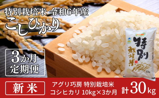 [定期便10kg×3ヶ月] 特別栽培米 コシヒカリ10kg 令和6年産 新潟県認証 新潟県三条市産 こしひかり 3か月連続でお届け【053S002】 869458 - 新潟県三条市