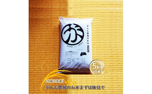 【令和六年産】がんも農場のお米まずは味見で5kg（白米）【出荷開始：2024年10月～】【白米 精米 こしひかり コシヒカリ 粘り気が強く甘みがあります がんも農場 お米 冷めても美味しい 長野県 佐久市 】