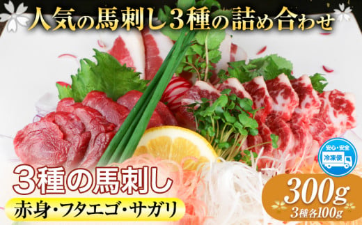 3種の馬刺し 赤身 フタエゴ サガリ 300g 各100g 醤油付き 5ml×2袋 津奈木食品 《30日以内に出荷予定(土日祝除く)》熊本県 葦北郡 津奈木町 馬肉 馬刺し 熊本県産 国産 1520505 - 熊本県津奈木町