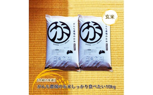 【令和六年産】がんも農場のお米しっかり食べたい10kg（玄米）【出荷開始：2024年10月～】【 精米 こしひかり コシヒカリ 粘り気が強く甘みがあります がんも農場 お米 冷めても美味しい 長野県 佐久市 】