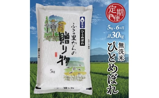 SG0050　【6回定期便】令和6年産 無洗米 ひとめぼれ　5kg×6回(計30kg) KN