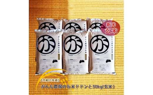 【令和六年産】がんも農場のお米ドドンと30kg(玄米）【出荷開始：2024年10月～】【 精米 こしひかり コシヒカリ 粘り気が強く甘みがあります がんも農場 お米 冷めても美味しい 長野県 佐久市 】