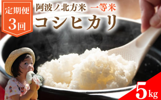 【 定期便 5kg × 3回 】 コシヒカリ 令和6年産 阿波ノ北方米 毎月 1回 1等 米 こめ ご飯 ごはん おにぎり 白米 精米 新米 卵かけご飯 食品 備蓄 備蓄米 保存 防災 ギフト 贈答 プレゼント お取り寄せ グルメ 送料無料 徳島県 阿波市 阿波ノ北方農園 1493929 - 徳島県阿波市