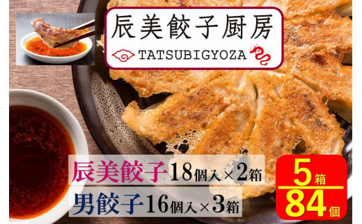 南砺ポーク使用 餃子専門店の 「辰美餃子」2箱（36個）＆「男餃子」3箱（48個）　計5箱(84個) 1494306 - 富山県南砺市