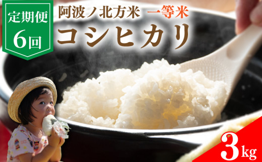 【 定期便 3kg × 6回 】 コシヒカリ 令和6年産 阿波ノ北方米 毎月 1回 1等 米 こめ ご飯 ごはん おにぎり 白米 精米 新米 卵かけご飯 食品 備蓄 備蓄米 保存 防災 ギフト 贈答 プレゼント お取り寄せ グルメ 送料無料 徳島県 阿波市 阿波ノ北方農園 1493931 - 徳島県阿波市