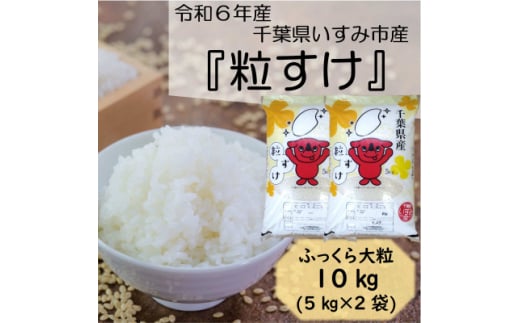 ＜令和6年産米＞　ふっくら大粒　千葉県いすみ市産粒すけ　精米10kg(5kg×2袋)【1546627】 1494991 - 千葉県いすみ市