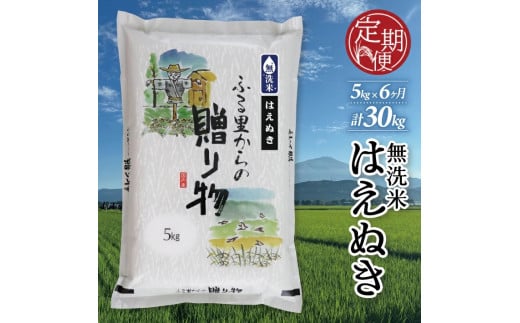 SG0049　【6回定期便】令和6年産 無洗米 はえぬき　5kg×6回(計30kg) KN