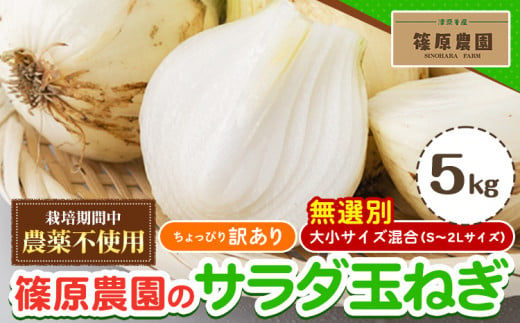  訳あり 栽培期間中 農薬不使用 サラダ玉ねぎ (S-2Lサイズ) 5kg《2月中旬-3月下旬頃出荷》熊本県 葦北郡 津奈木町 篠原農園 野菜 玉ねぎ たまねぎ 自然栽培 大小サイズ混合 ちょっと訳あり