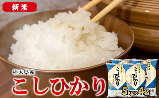 【令和6年産・新米】栃木県産こしひかり（精米・5kg×4袋）　※離島への配送不可 1490698 - 栃木県宇都宮市