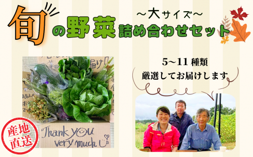 【期間限定】旬の野菜詰め合わせセット（大）(I-2) 1493126 - 長野県飯山市