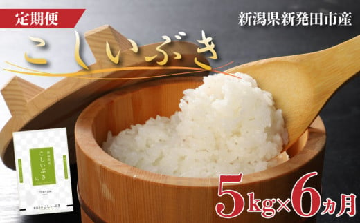 【定期便】 令和6年産 新潟県産 こしいぶき 5㎏×6か月 【 新潟県 新潟産 新潟米 新発田産 新発田 お米 米 こしいぶき とんとん市場 せいだ 5kg 30kg 6か月 半年 定期便 数量限定 玄米 D56_02 】　 984309 - 新潟県新発田市