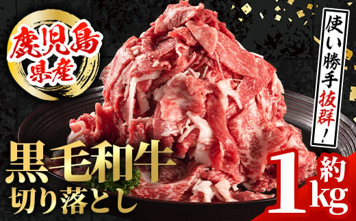 i1000 鹿児島県産 黒毛和牛 切り落とし (計約1kg・約500g×2パック) 国産 九州産 鹿児島産 黒毛和牛 牛肉 国産牛 切り落とし 切落し 小分け 冷凍配送 【スターゼン】 1493856 - 鹿児島県出水市