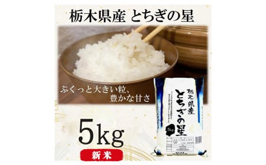 【年内発送 12/23迄受付】【令和6年産・新米】栃木県産とちぎの星（精米）5kg×1袋 ｜ お米 白米 一等米 送料無料 栃木県 宇都宮市　※離島への配送不可 851847 - 栃木県宇都宮市