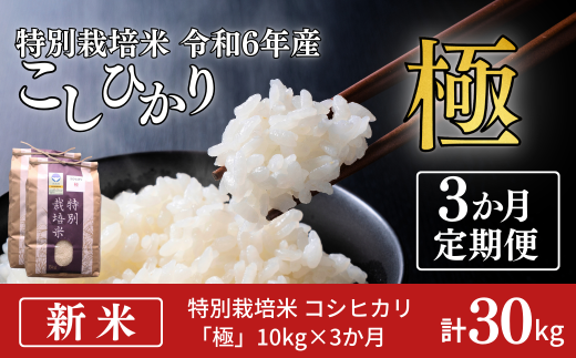 [定期便10kg×3か月] 特別栽培米 コシヒカリ 「極」 10kg×3か月 計30kg 令和6年産 こしひかり 新潟県認証 精米 白米 5kg包装【070S005】 1046984 - 新潟県三条市