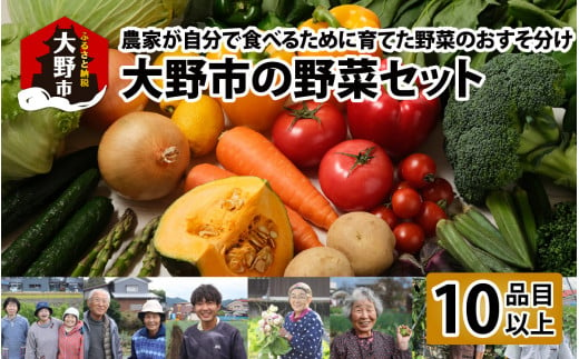 【11月発送分】【農家直送】「大野市の野菜セット」《農家が自分で食べるために育てた野菜のおすそ分け》