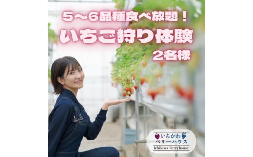 ＜2025年先行受付＞5～6品種食べ放題!いちご狩り体験2名様ご招待!【1542971】