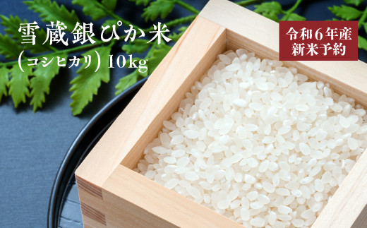 【令和６年産新米】雪蔵銀ぴか米（コシヒカリ）10kg　【07208-0347-C】