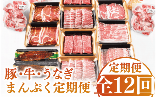 【全１２回定期便】鹿児島自慢の 豚 ・ 牛 ・ うなぎ まんぷく 定期便 (水迫畜産/Z100-1773) 頒布会 頒布 定期 国産 肉 豚 牛 豚肉 牛肉 鹿児島県産 生ハム すき焼き 和牛 国産牛 薄切り スライス 黒毛和牛 霜降り バラ ロース 黒豚 鍋 しゃぶしゃぶ カルビ 小分け カレー シチュー ステーキ 焼き肉 焼肉 指宿 鹿児島 いぶすき 392036 - 鹿児島県指宿市