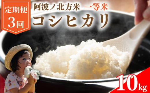 【 定期便 10kg × 3回 】 コシヒカリ 令和6年産 阿波ノ北方米 毎月 1回 1等 米 こめ ご飯 ごはん おにぎり 白米 精米 新米 卵かけご飯 食品 備蓄 備蓄米 保存 防災 ギフト 贈答 プレゼント お取り寄せ グルメ 送料無料 徳島県 阿波市 阿波ノ北方農園 1493930 - 徳島県阿波市