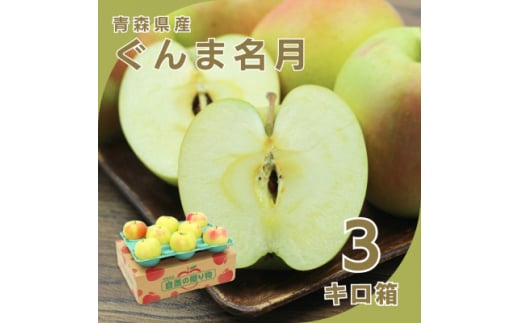 ＜10月下旬より発送開始＞産地直送 青森県産ぐんま名月 3キロ箱 6～14玉 青森県産りんご【1290164】 410740 - 青森県青森市