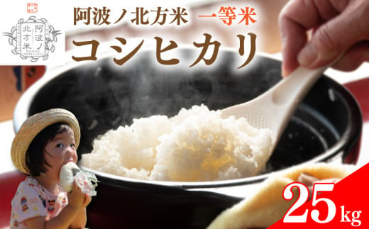 【 単品 25kg 】コシヒカリ 令和6年産 阿波ノ北方米 1等 米 こめ ご飯 ごはん おにぎり 白米 精米 新米 卵かけご飯 食品 備蓄 備蓄米 保存 防災 ギフト 贈答 プレゼント お取り寄せ グルメ 送料無料 徳島県 阿波市 阿波ノ北方農園 1493927 - 徳島県阿波市