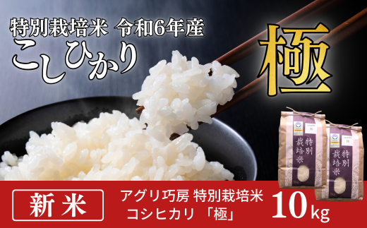 定期便10kg×3か月] 特別栽培米 コシヒカリ 「極」 10kg×3か月 計30kg 令和6年産 こしひかり 新潟県認証 精米 白米  5kg包装【070S005】 - 新潟県三条市｜ふるさとチョイス - ふるさと納税サイト