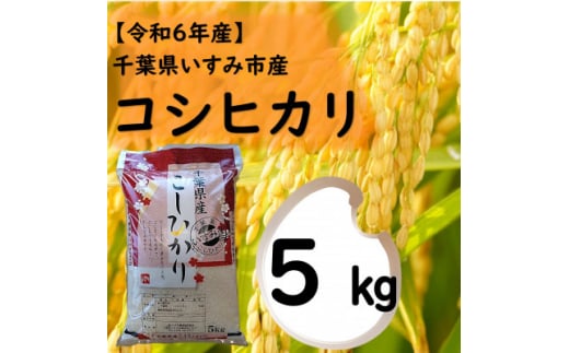 ＜令和6年産米＞　千葉県いすみ市産　コシヒカリ精米5kg【1546630】 1494994 - 千葉県いすみ市