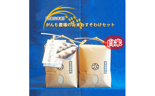 【令和六年産】がんも農場のお米おすそわけセット （白米）2㎏×2個【出荷開始：2024年10月～】【 コシヒカリ こしひかり 長野県 佐久市 】 1409298 - 長野県佐久市