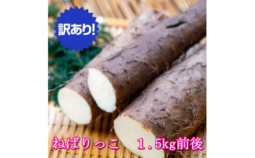 ９４２．【訳あり】ねばりっこ1.5kg ≪野菜≫※期間限定11月上旬から4月中旬頃に順次発送予定