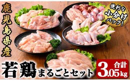 2649 若鶏まるごと3.05ｋｇセット【国産 鹿児島県産 鶏肉 鶏 鳥肉 鶏もも 鶏むね 鶏ささみ 手羽元 手羽先 チキンリブ 砂肝 肩肉 セット 小分け 真空 冷凍 冷凍保存】 1495688 - 鹿児島県鹿屋市