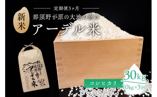 【令和6年産米】『定期便3ヶ月』那須野が原の大地の恵み アーデル米（コシヒカリ1袋10kg）＜出荷開始：2024年10月下旬～＞ ns061-002 701543 - 栃木県那須塩原市