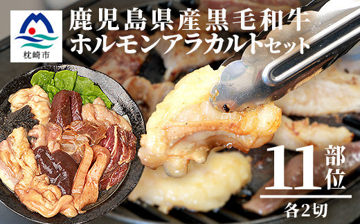 鹿児島県産黒毛和牛 ホルモン アラカルトセット 食べ比べ11部位 焼肉屋店主こだわり A3-203【1166394】