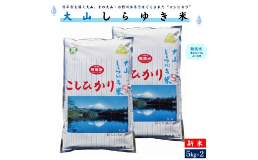 【新米】令和6年産 大山しらゆき米10kg（無洗コシヒカリ・5kg×2） 423097 - 鳥取県米子市