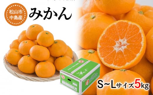 【発送は11月中旬から】 中島産 みかん S～L サイズ 5kg （ 国産 愛媛みかん 愛媛蜜柑 愛媛ミカン みかん ミカン mikan 蜜柑 柑橘 フルーツ 果物 くだもの お取り寄せ 産地直送 数量限定 人気 おすすめ 愛媛県 松山市 送料無料 フジ・アグリフーズ ） 588820 - 愛媛県松山市