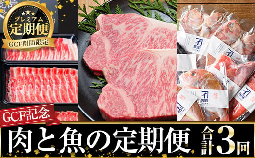 8006 [GCF期間限定]肉と魚 3回定期便[牛 牛肉 和牛 サーロイン 黒毛和牛 ステーキ 黒豚 豚肉 豚 しゃぶしゃぶ 豚バラ 干物 魚 ごちそう お楽しみ ギフト 特産品 セット]