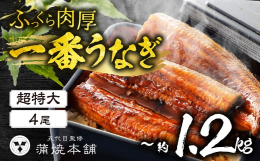 ふっくら肉厚！『一番うなぎ』 超特大 4尾 国産うなぎ蒲焼 1378036 - 愛知県豊橋市